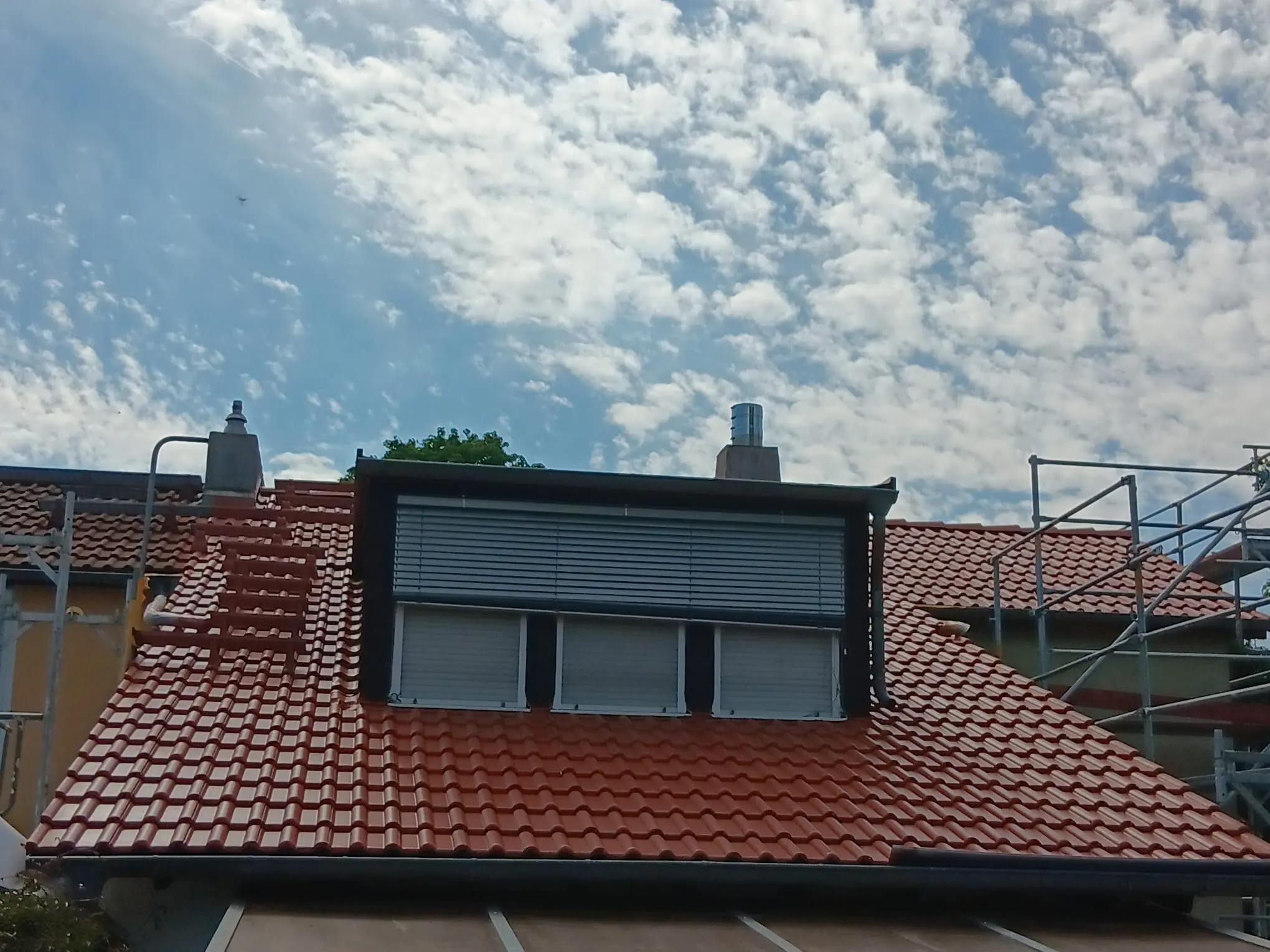 Dach vorher/nachher Reinigung