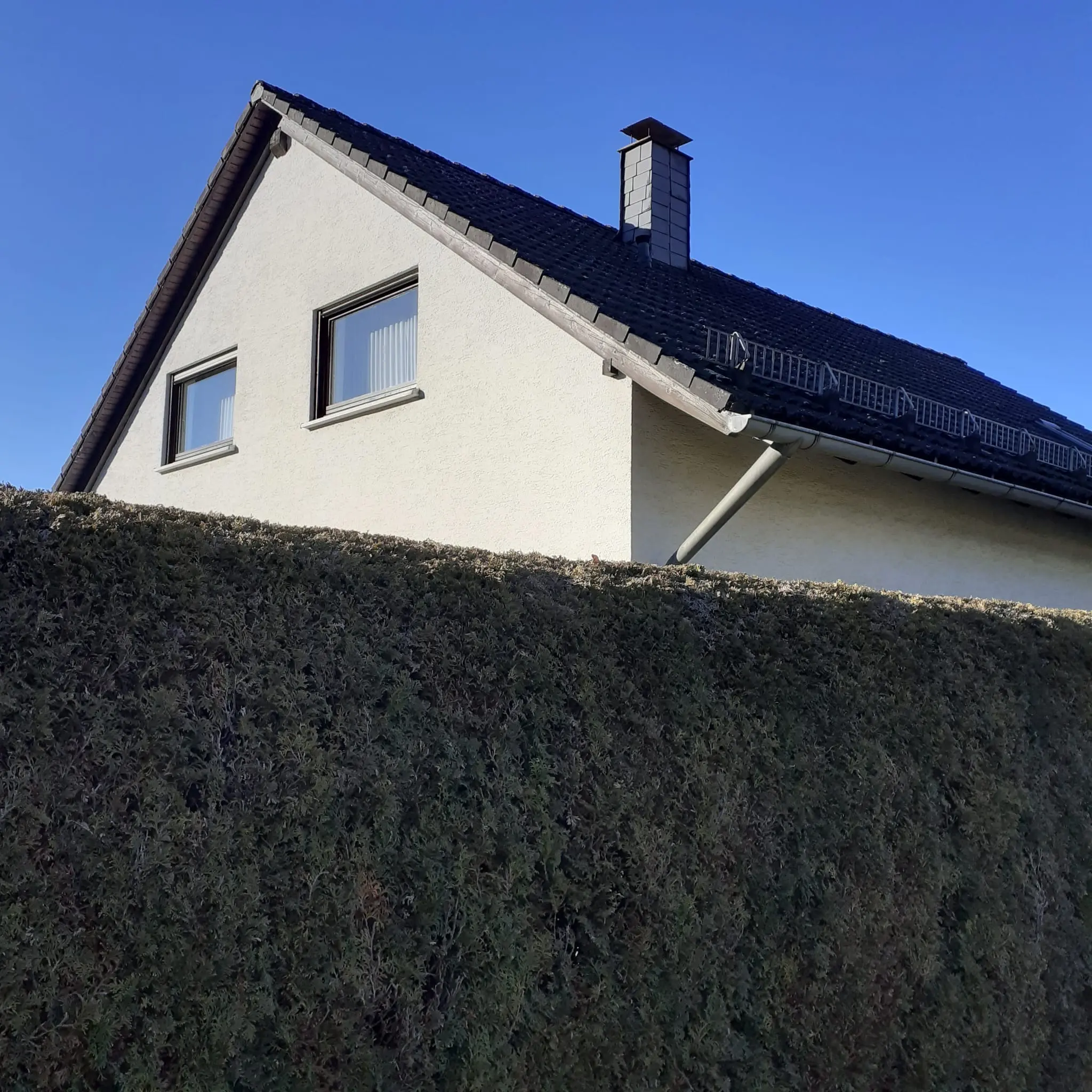 Dach vorher/nachher Reinigung